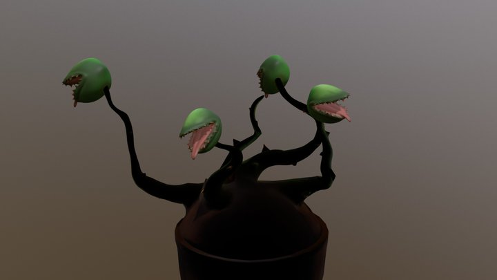 Venus 3D Model