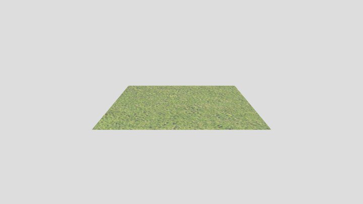 Grass 3D Model