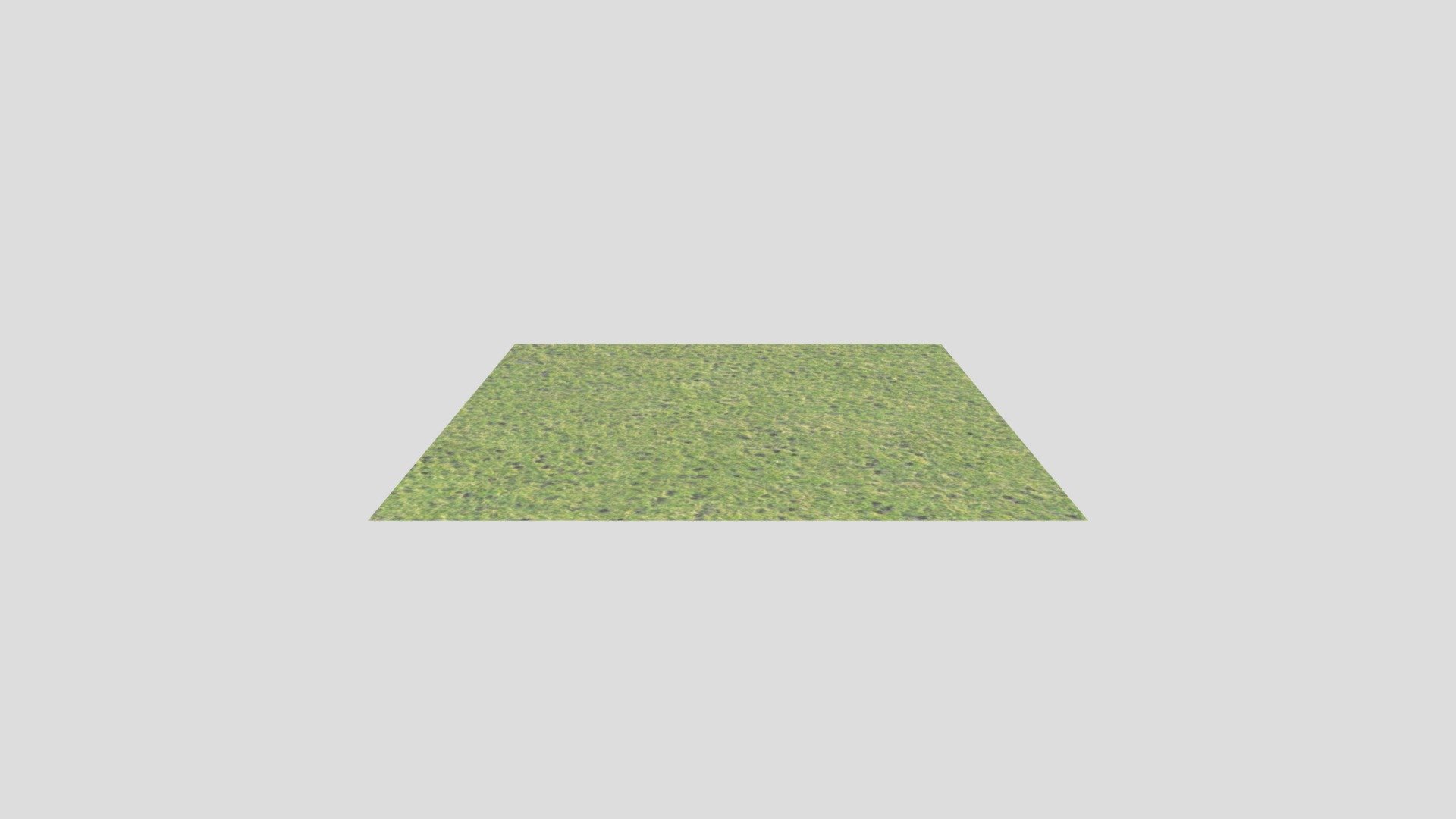 Grass