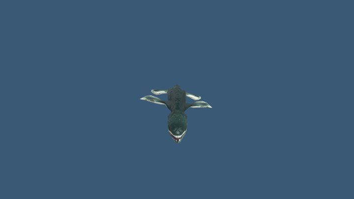 mosasauro-nuota-2-fluido 3D Model