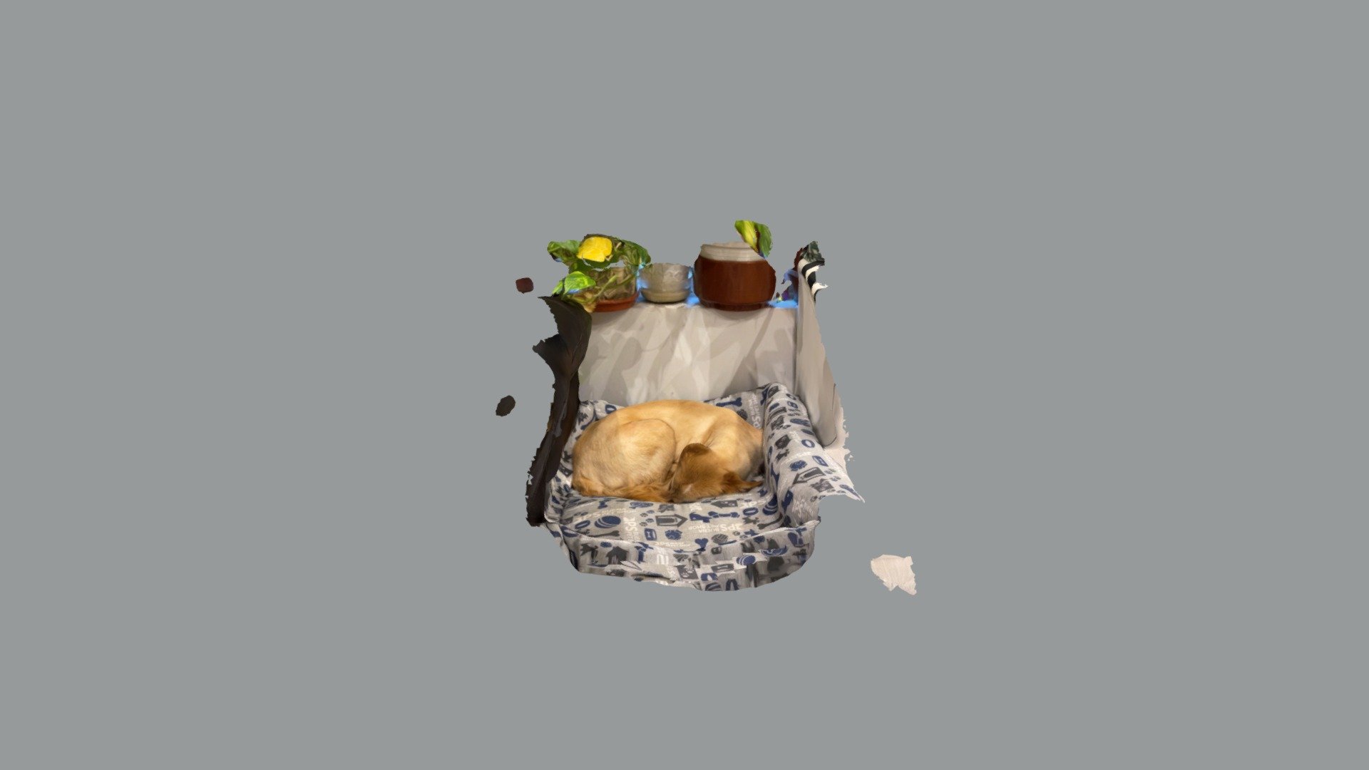 Linda Durmiendo