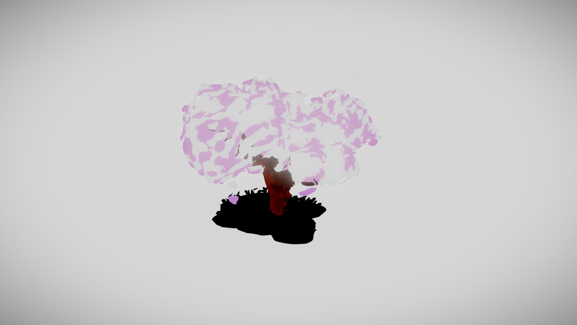 cherry blossom