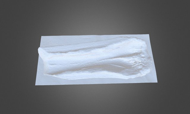 117715 1m mesh 3D Model