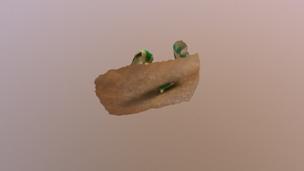 3D Scan Coursera