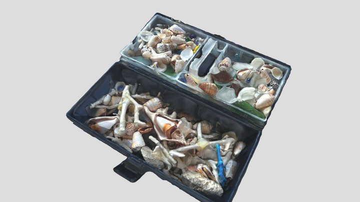 いまは拾えないサンゴ – Free 3D Model STL