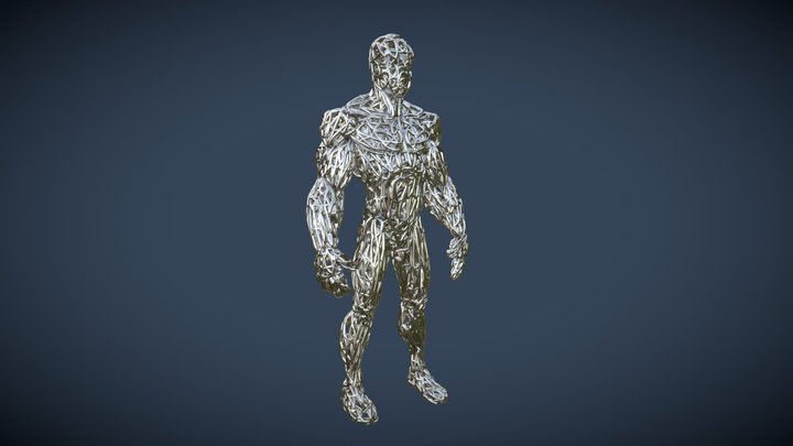 Wire Cyborg 3D Model