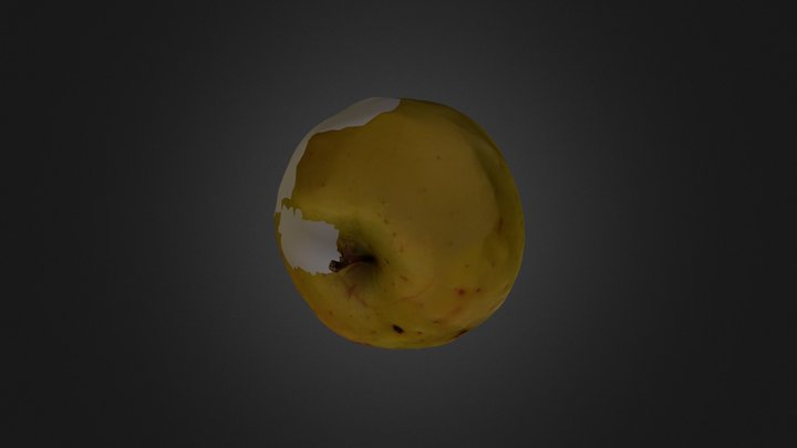 Boskoop 3D Model