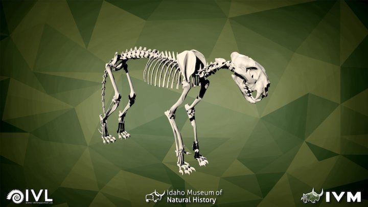 IMNH R-2372 Leopard – Modello 3D gratuito STL