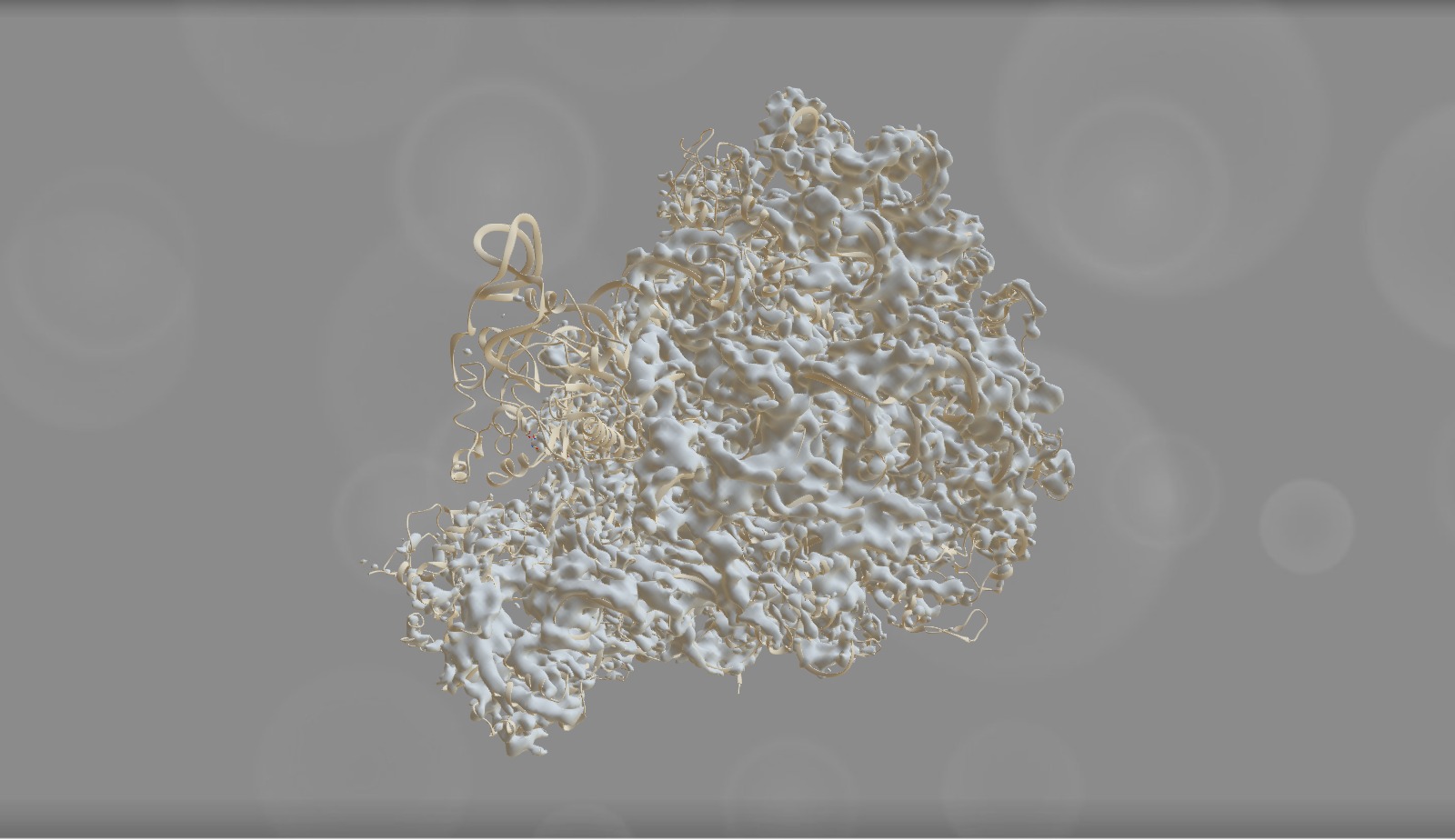 50S ribosome subunit ( NAT.STRUCT.MOL.BIOL.) - 3D model by Interactive ...