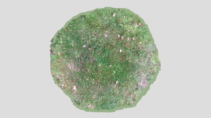 grass section 3D Model