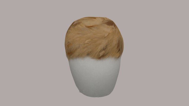 Feather Pill box hat 3D Model