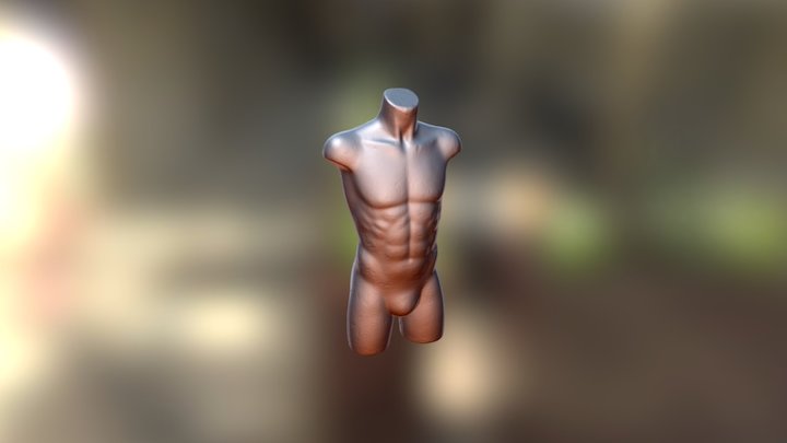 3D-scanned styrofoam male torso mannequin 3D Model