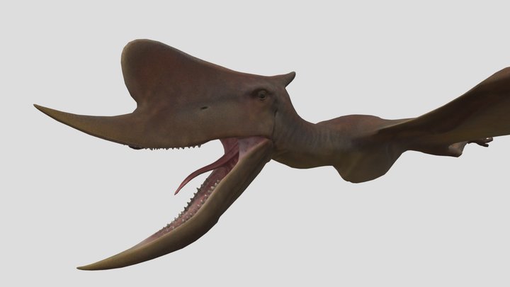 Dsungaripterus