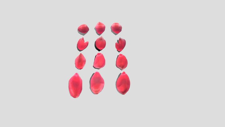 Red Tulip Petals 3D Model