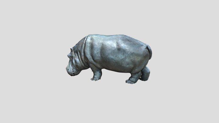 カバ 3D Model