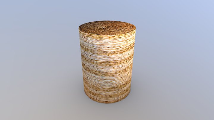 Simple Hay Bale 3D Model