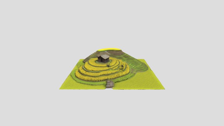 Paddy field 3D Model