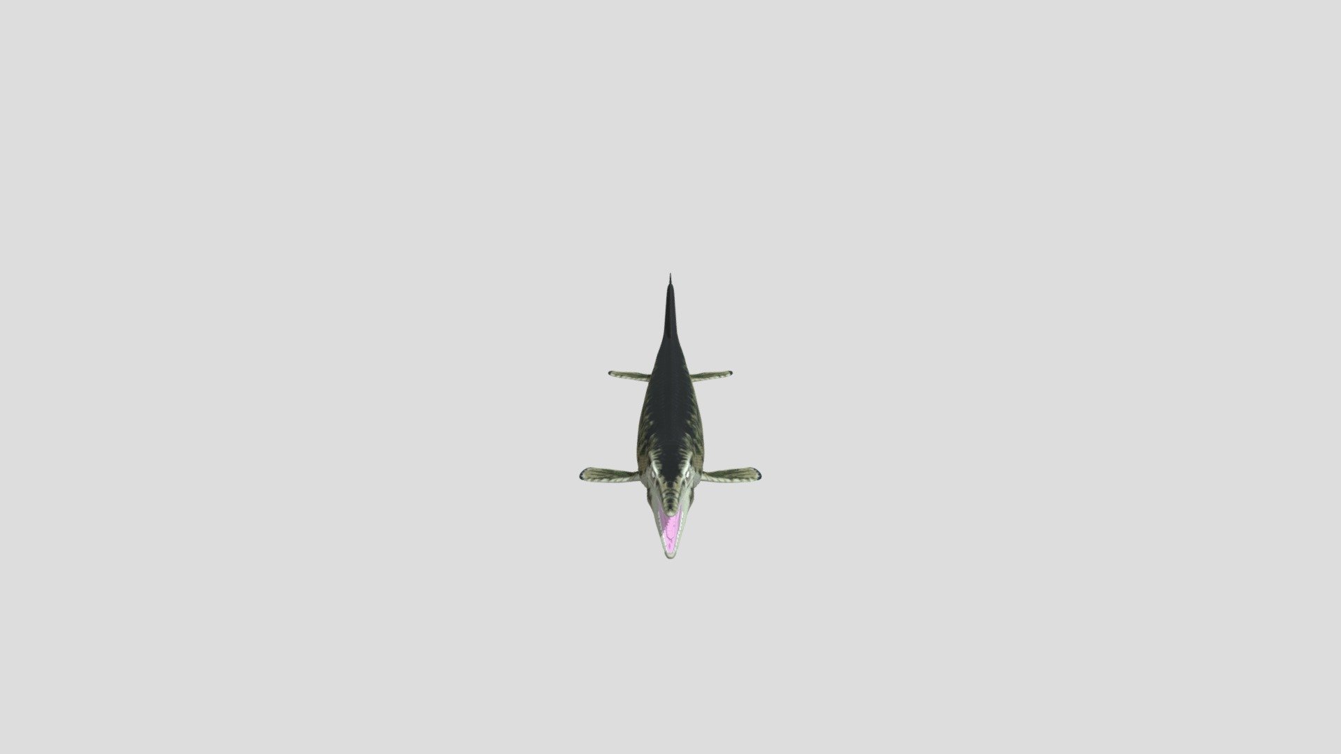 Mosasaurus - Download Free 3D model by Sammy the Citipati ...