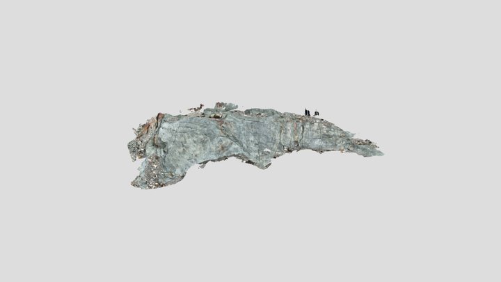 Retrogressed metabasalt (Zermatt) 3D Model