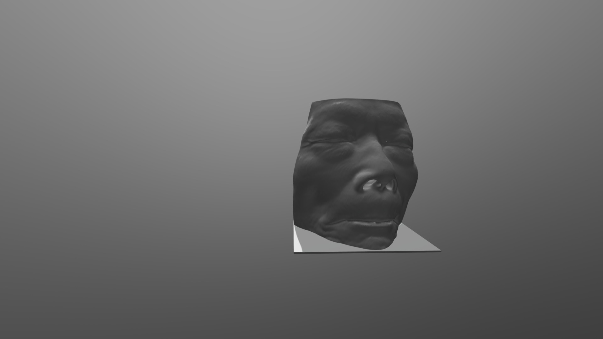 3D model Head airway(nasal sinuses were hollow) - This is a 3D model of the Head airway(nasal sinuses were hollow). The 3D model is about a man's head in a black and white photo.