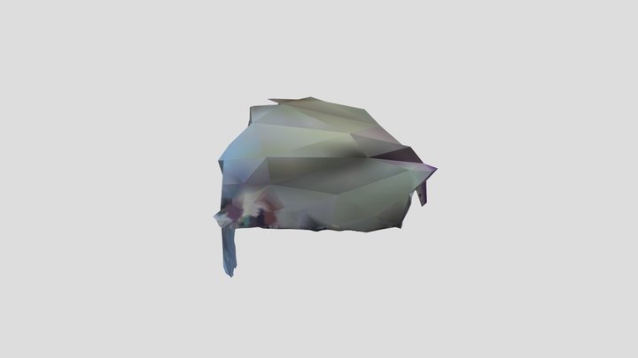 trace fossil_2 corocoro 3D Model