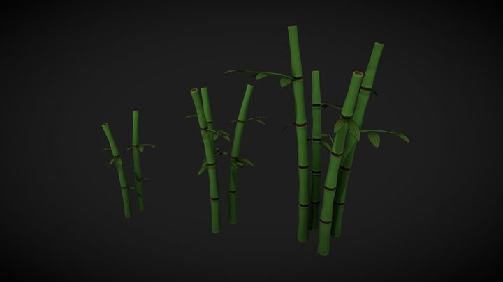 Bamboo 3D Model