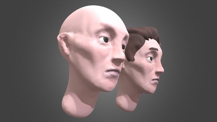 Male Head Sculpt 3D Model