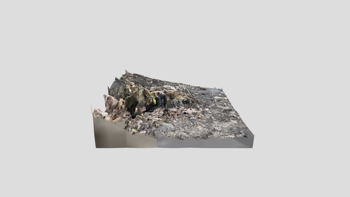 Stronkje 3D Model