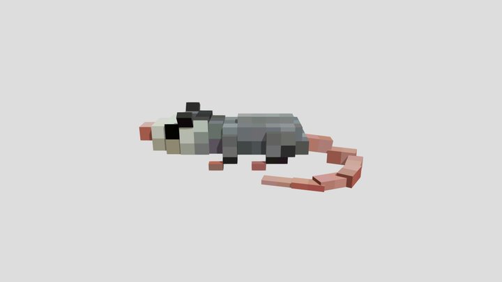tlacuache 3D Model