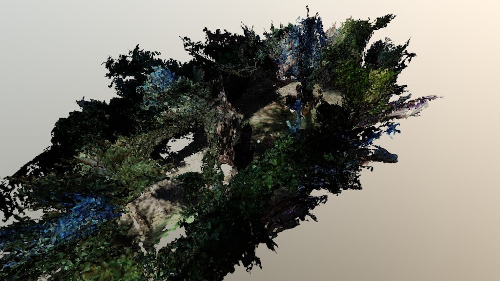 Test - Garden