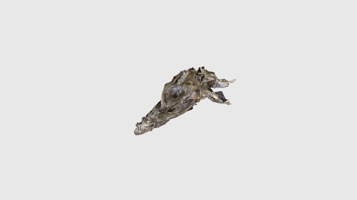 Sala Blanca. Cueva de los Cristales. 3D Model