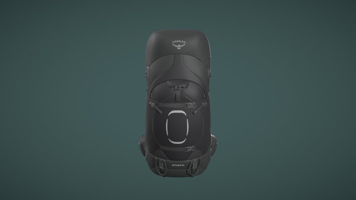 Travel Backpack 3D Model