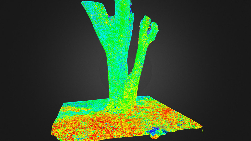 3D NDVI(雨豆樹)