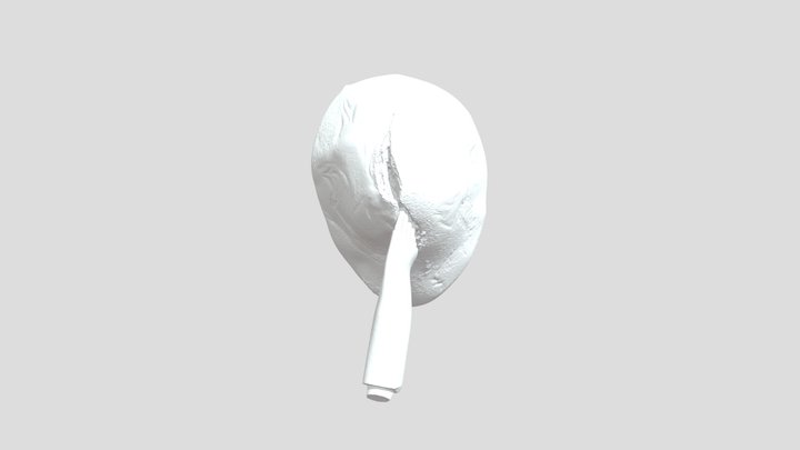 Wound Simulation Practice 3D Model