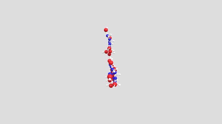 Glycogen 3D Model