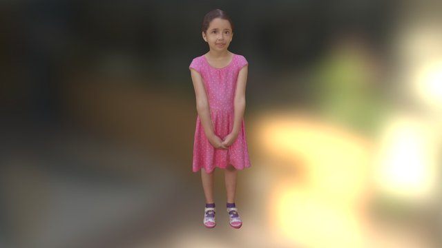 D.C. 3D Model