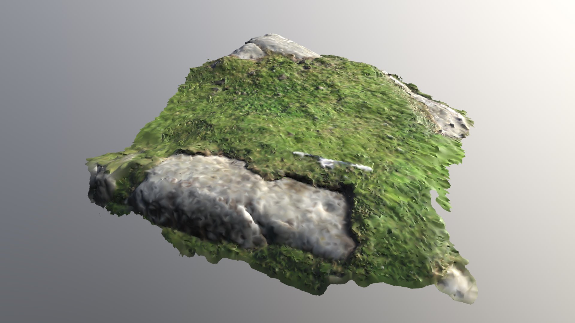 Heylipol 01 Cup Marked Stone