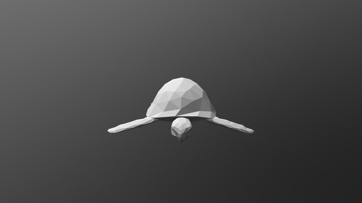 Tartaruga 3D Model
