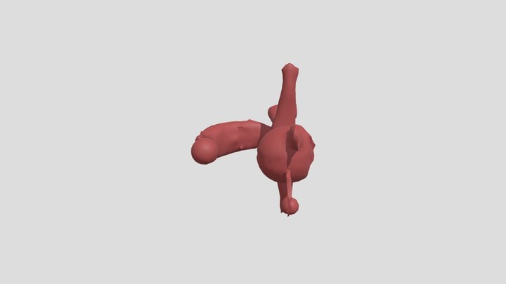 low poly aquaferal 3D Model
