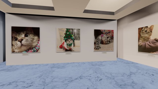 Instamuseum for @nala_cat 3D Model