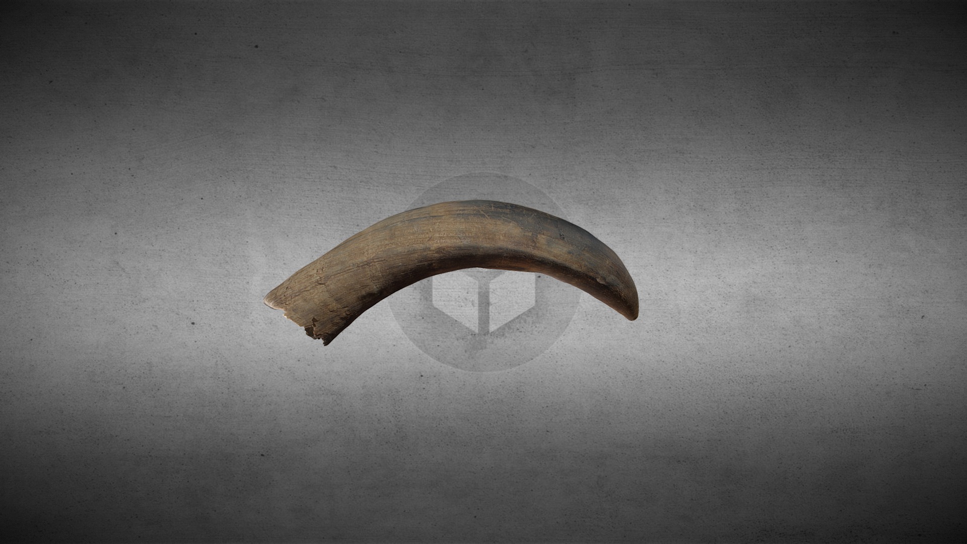 3D model Cow horn - This is a 3D model of the Cow horn. The 3D model is about a close-up of a ring.