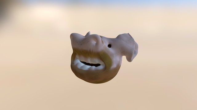 The Dirty Pig 3D Model