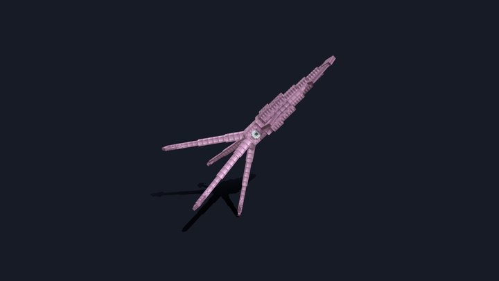 Giant Squid Final 3D Model