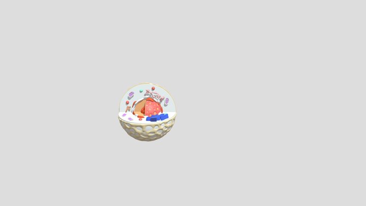 CELL PROJECT GEN BIO GROUP 4 3D Model