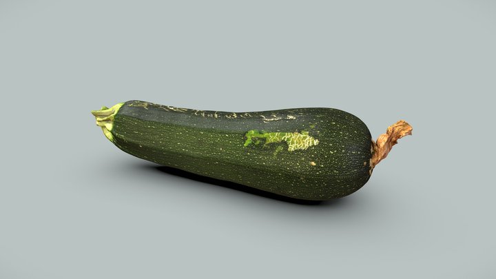 Zucchini