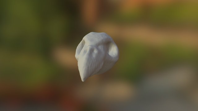 Skull1 3D Model