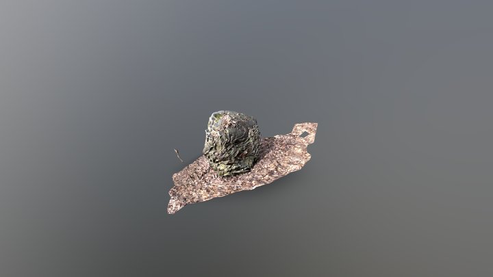 Boulder 3D Model