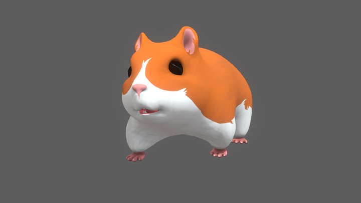 Hamster Rigged(c4d) 3D Model