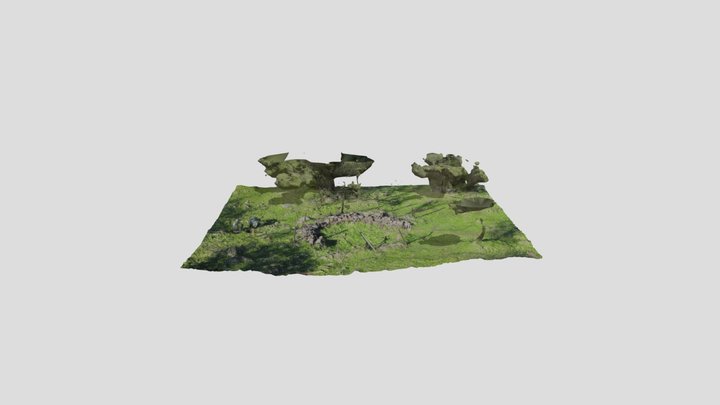 E S_I (CGDLC) 3D Model