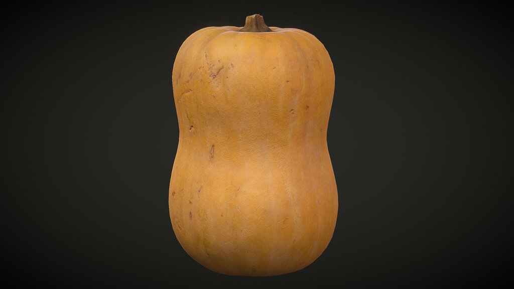 Pumpkin 3D Scan — FREE Photogrammetry Model